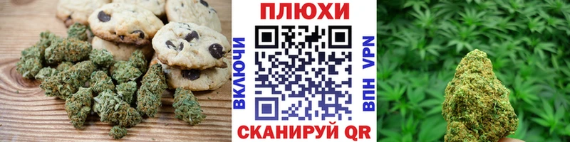 Canna-Cookies марихуана  Купить  Кировград 