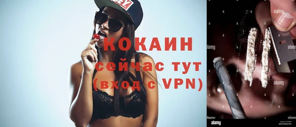 соль ск Лиски