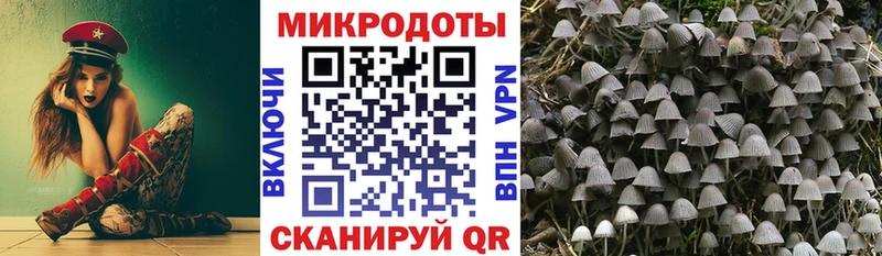 Галлюциногенные грибы мицелий Купить Кировград